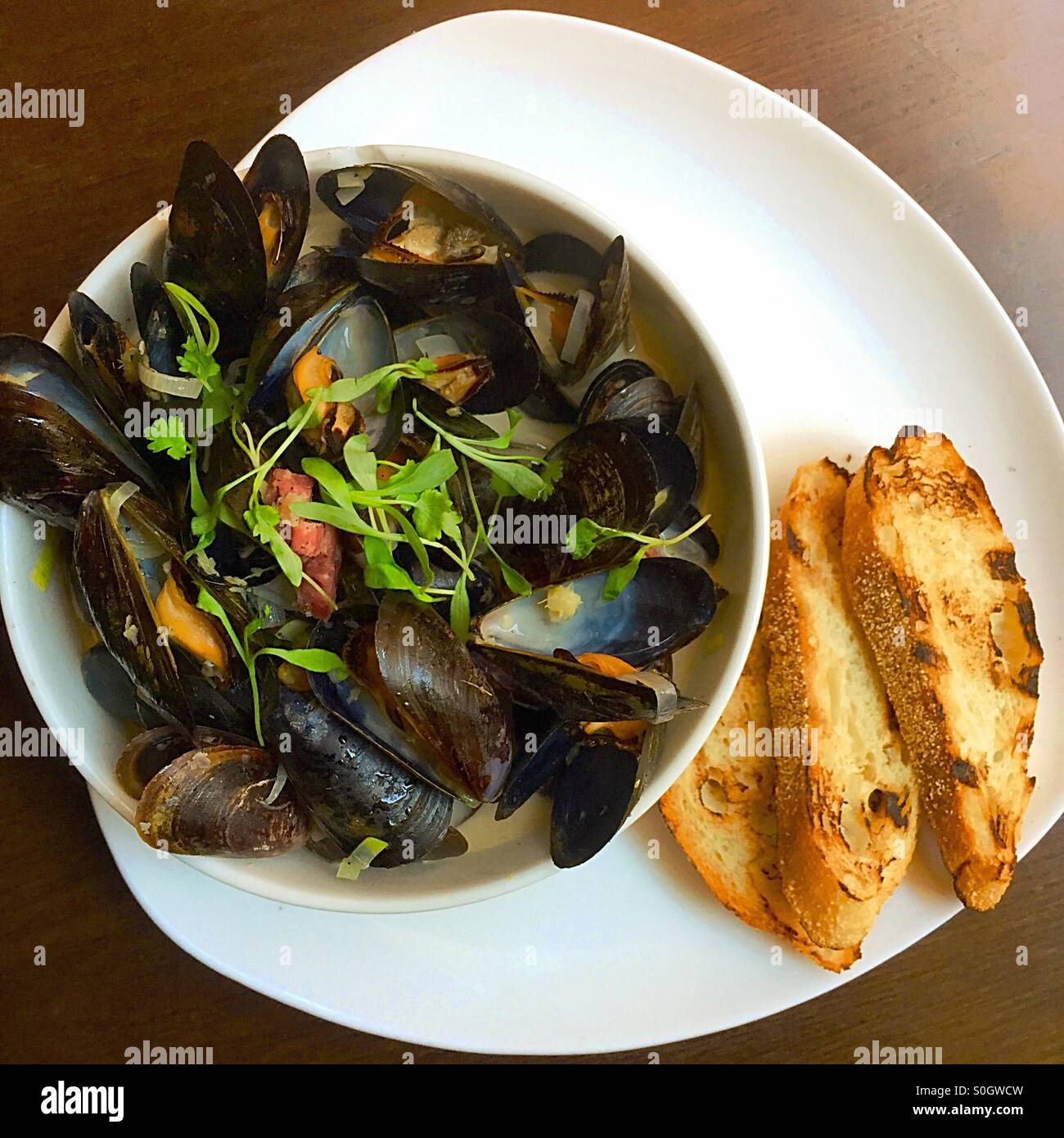 Steamed mussels - Smartphone Captured Stock Image