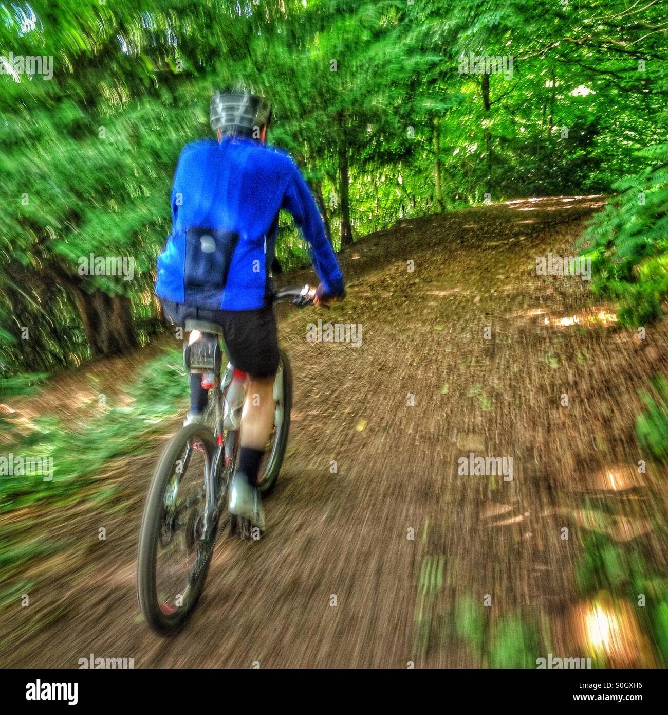 Man on a mountain bike going through woods - Smartphone Captured Stock Image