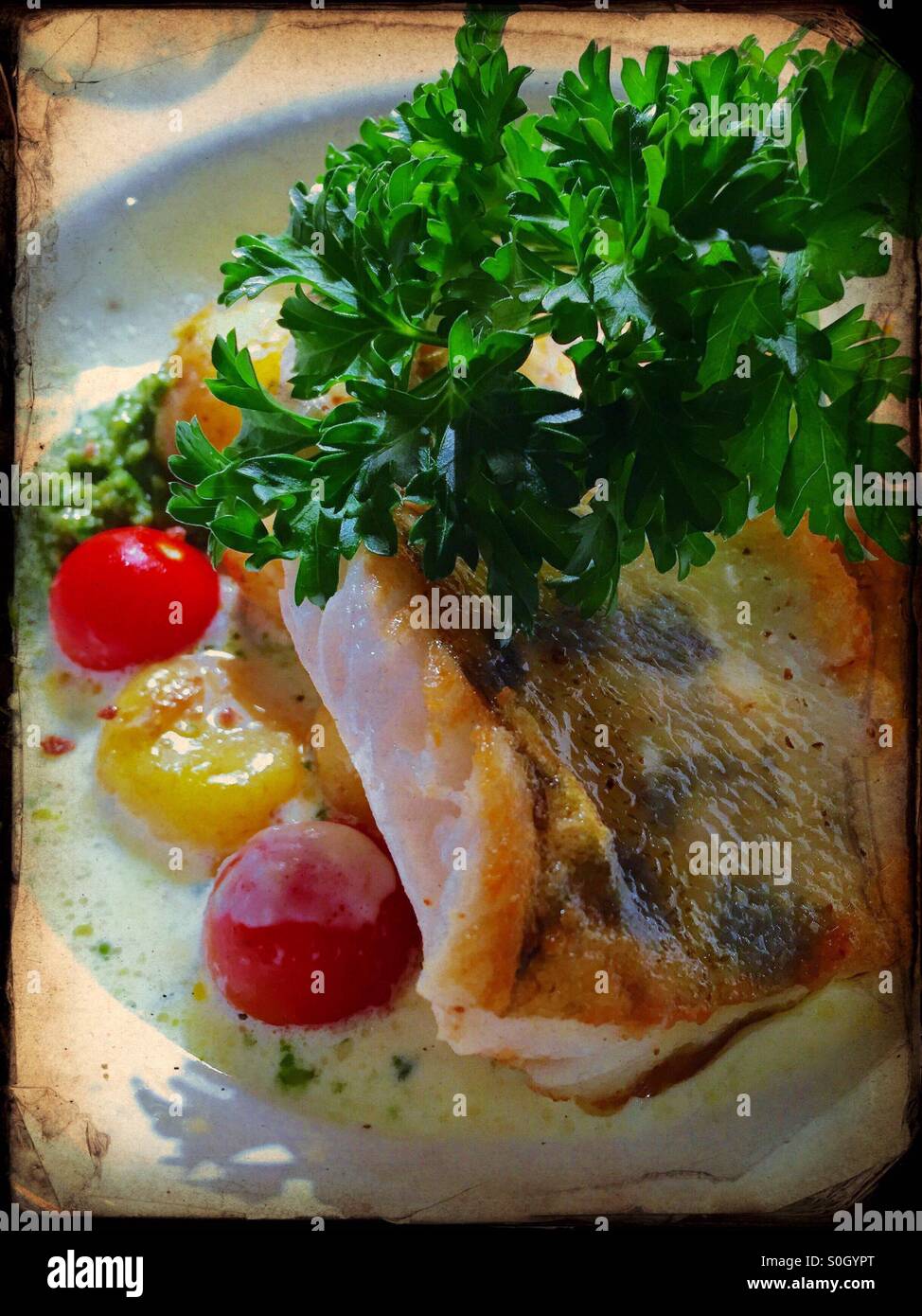 Pike-perch dish in an organic restaurant, Pärnu, Estonia Stock Photo