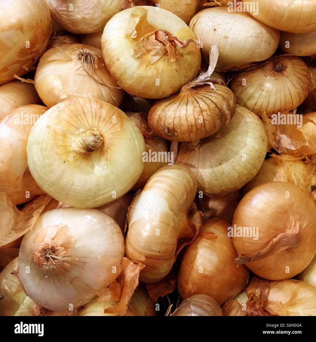 Cipollini onions hires stock photography and images Alamy