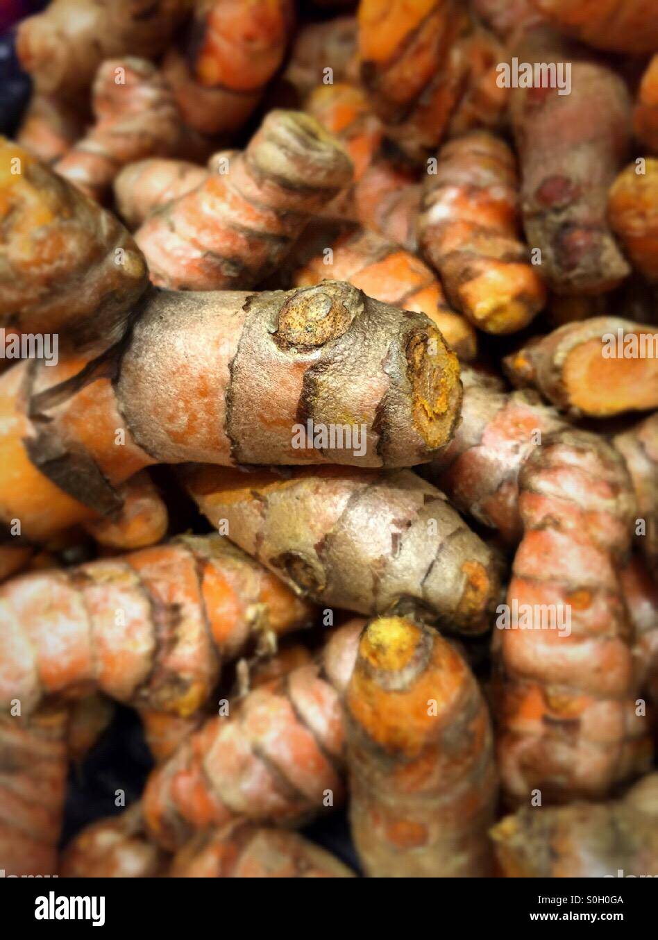 Tumeric roots in produce section of the grocery store Stock Photo Alamy