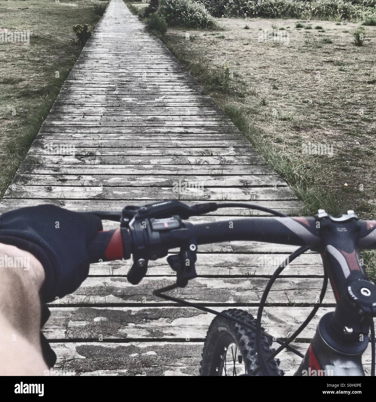 Mountain bike on wooden deck path - Smartphone Captured Stock Image