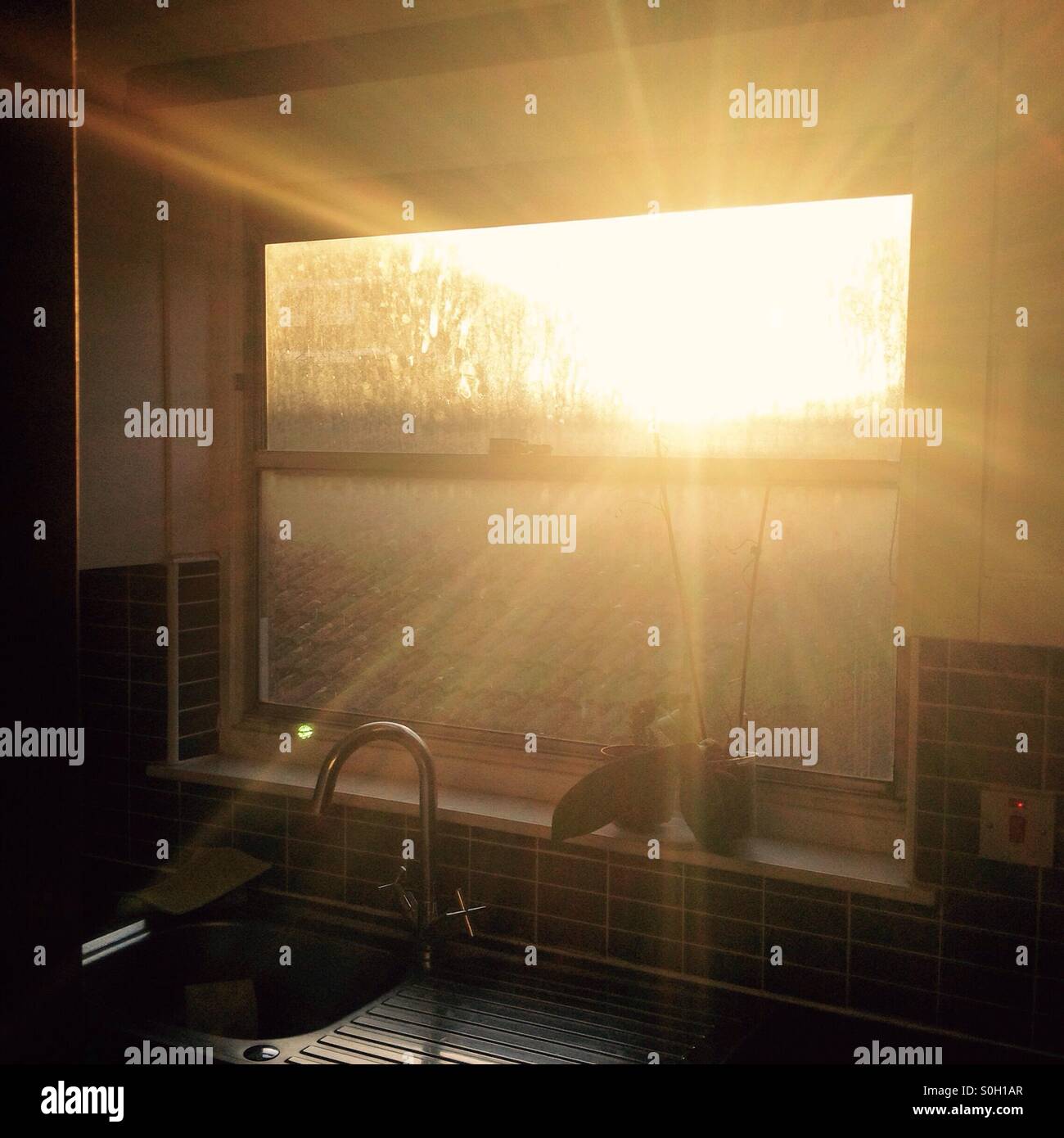 Sunlight Streams into the Kitchen Stock Photo Alamy