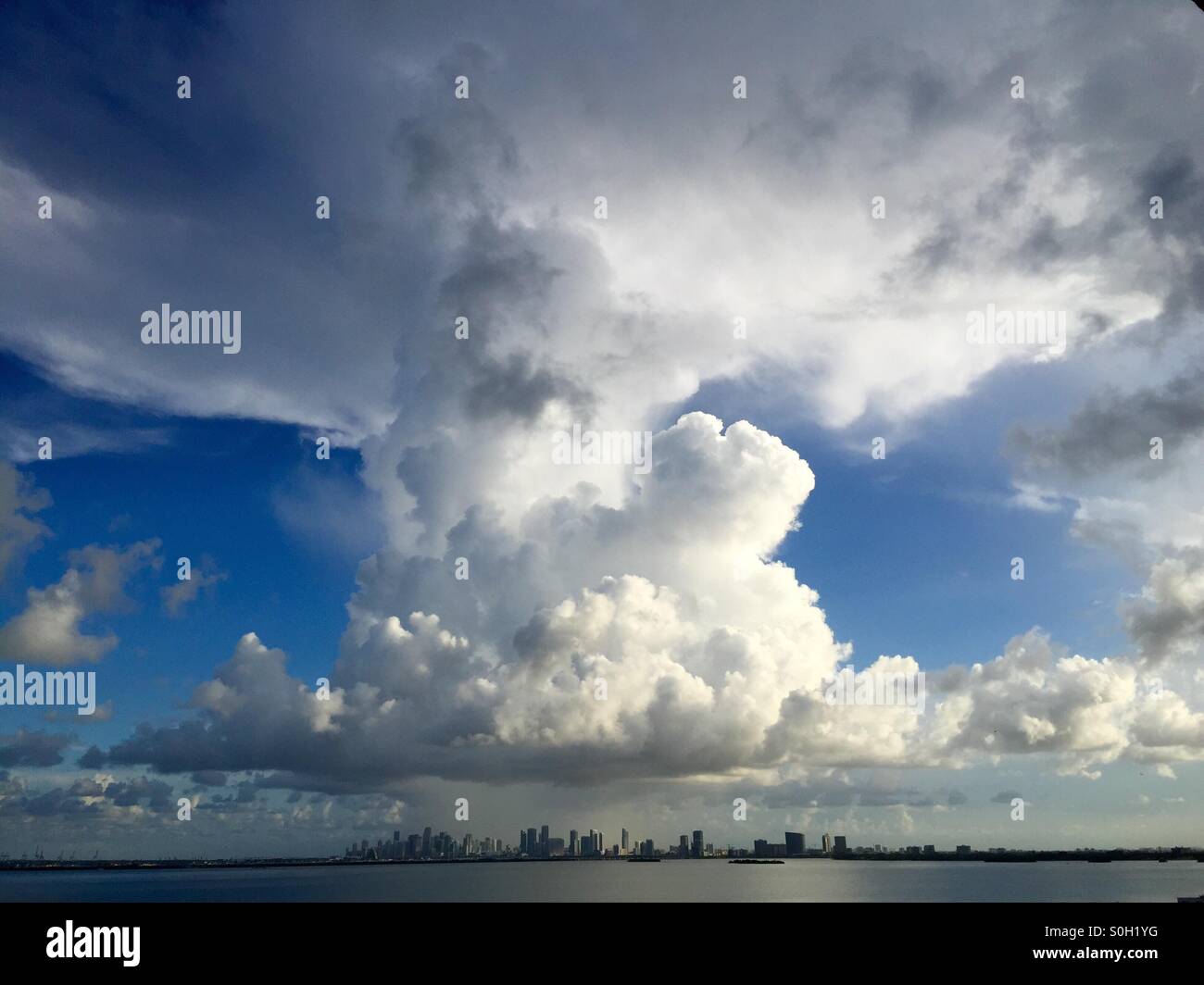 Shower over Miami, towering cumulus, Biscayne bay Stock Photo