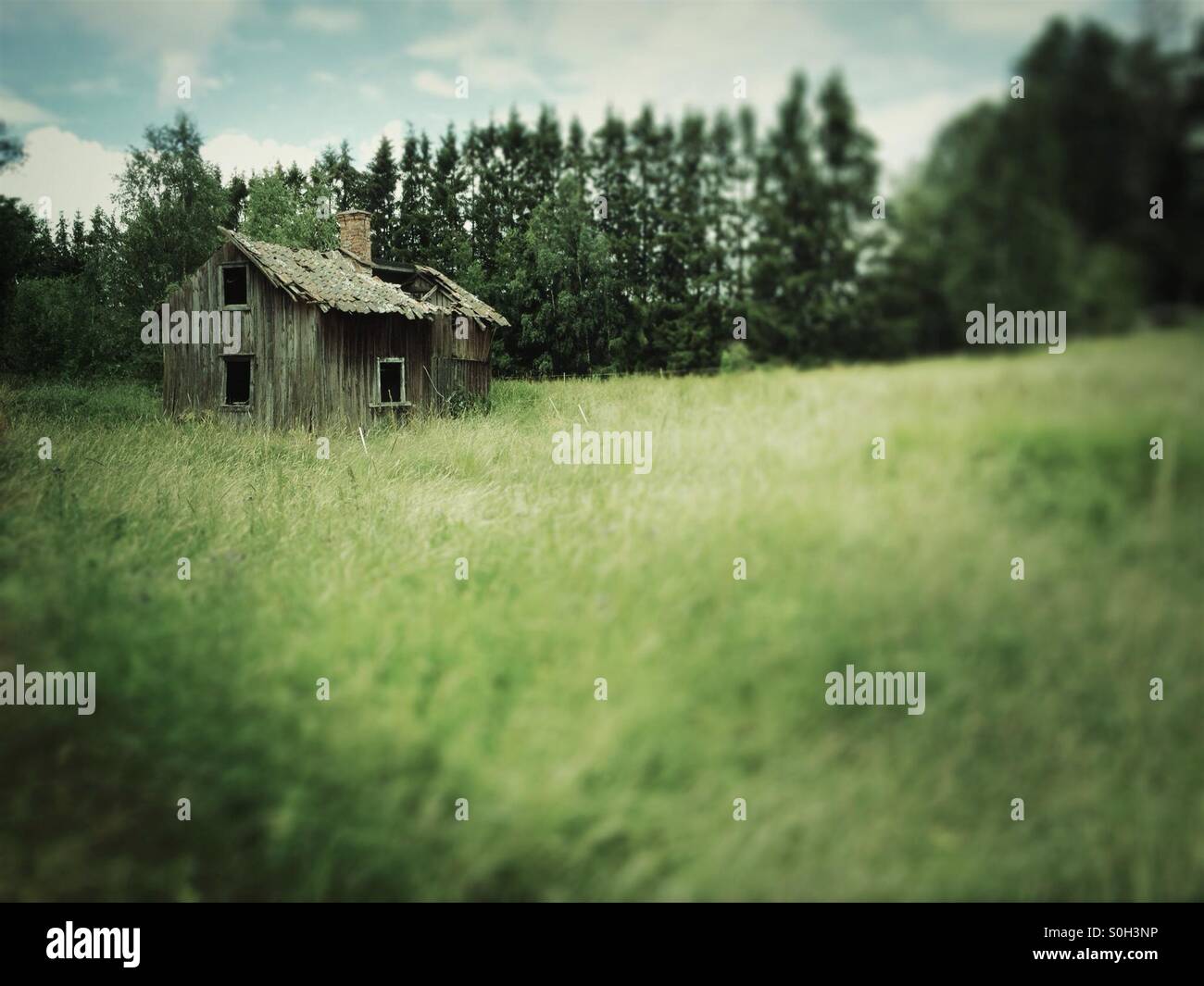 Derelict and damaged wooden house in meadow - Smartphone Captured Stock Image