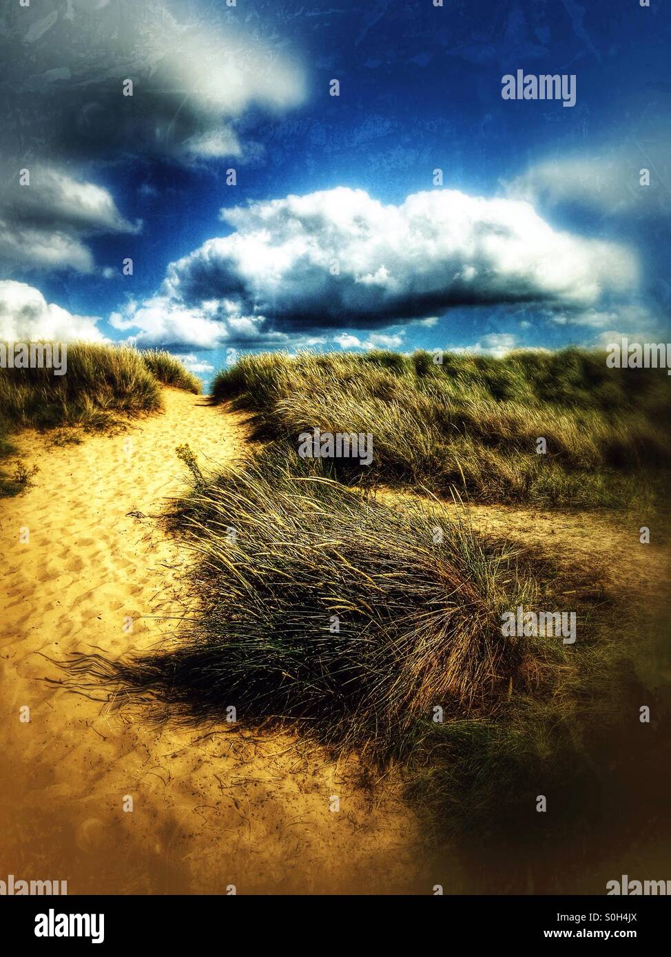 Sand dune at Southwold beach, Suffolk, England. Stock Photo