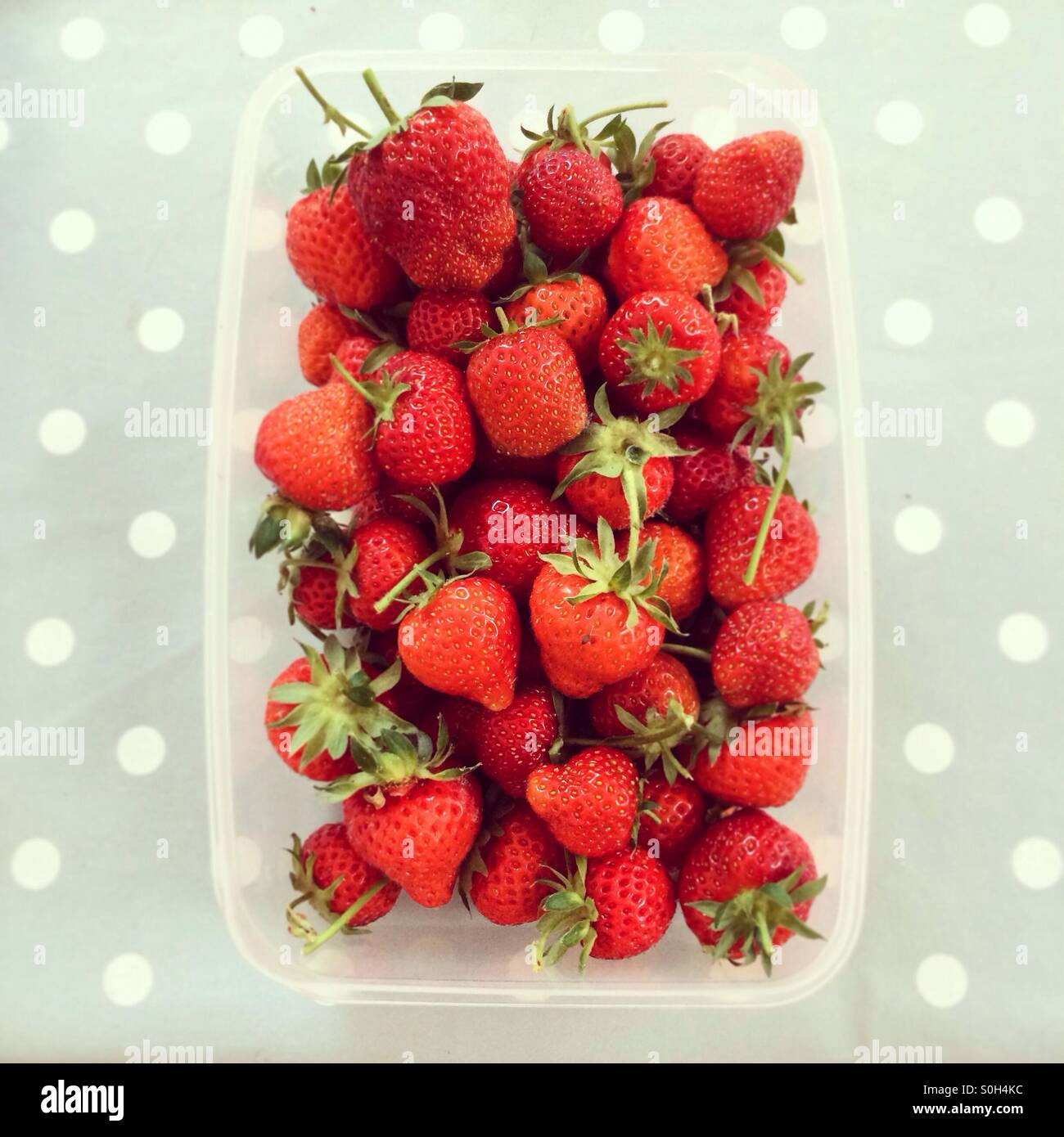 Strawberries in container hi-res stock photography and images - Alamy