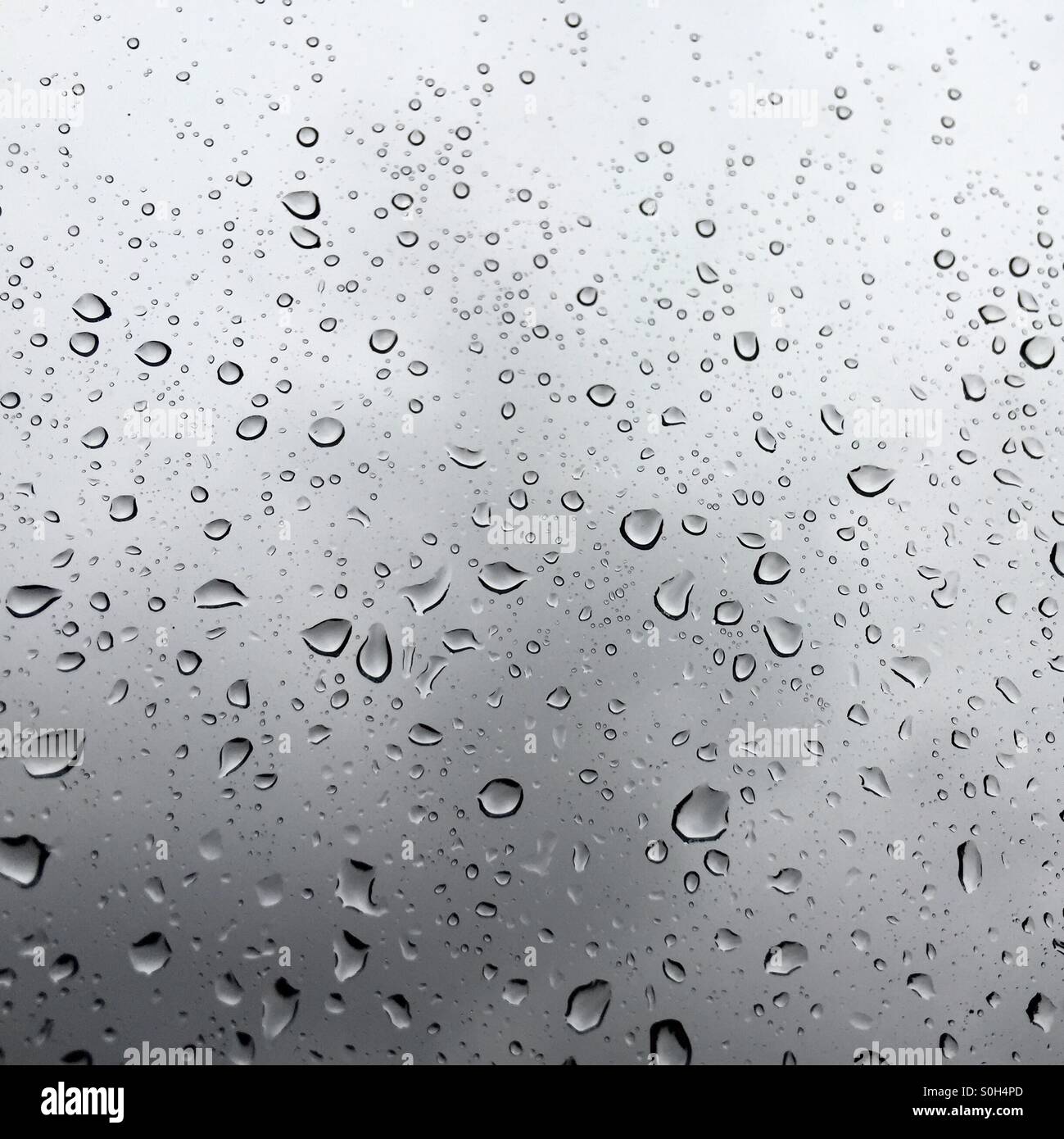 Raindrops on a window Stock Photo - Alamy