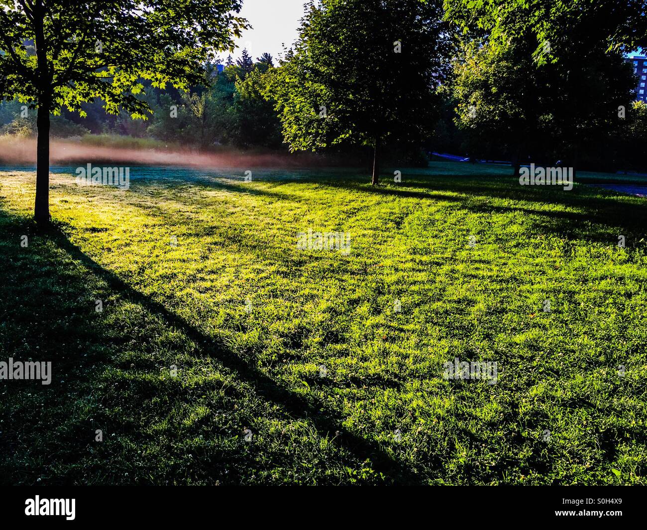 Early morn - Smartphone Captured Stock Image Early morn - Smartphone Captured Stock Image