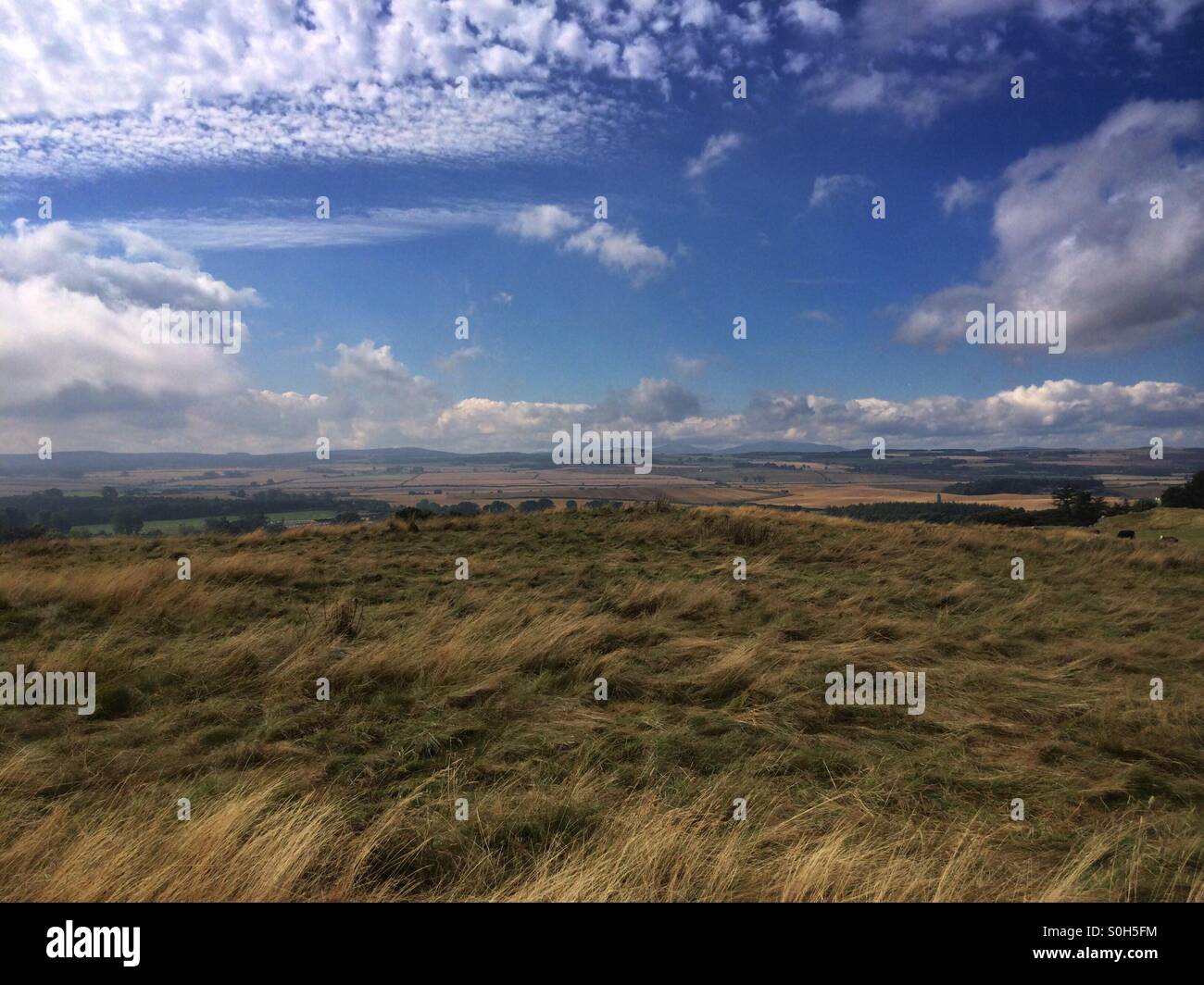 A clear view across grassy moorland and colourful skies Stock Photo