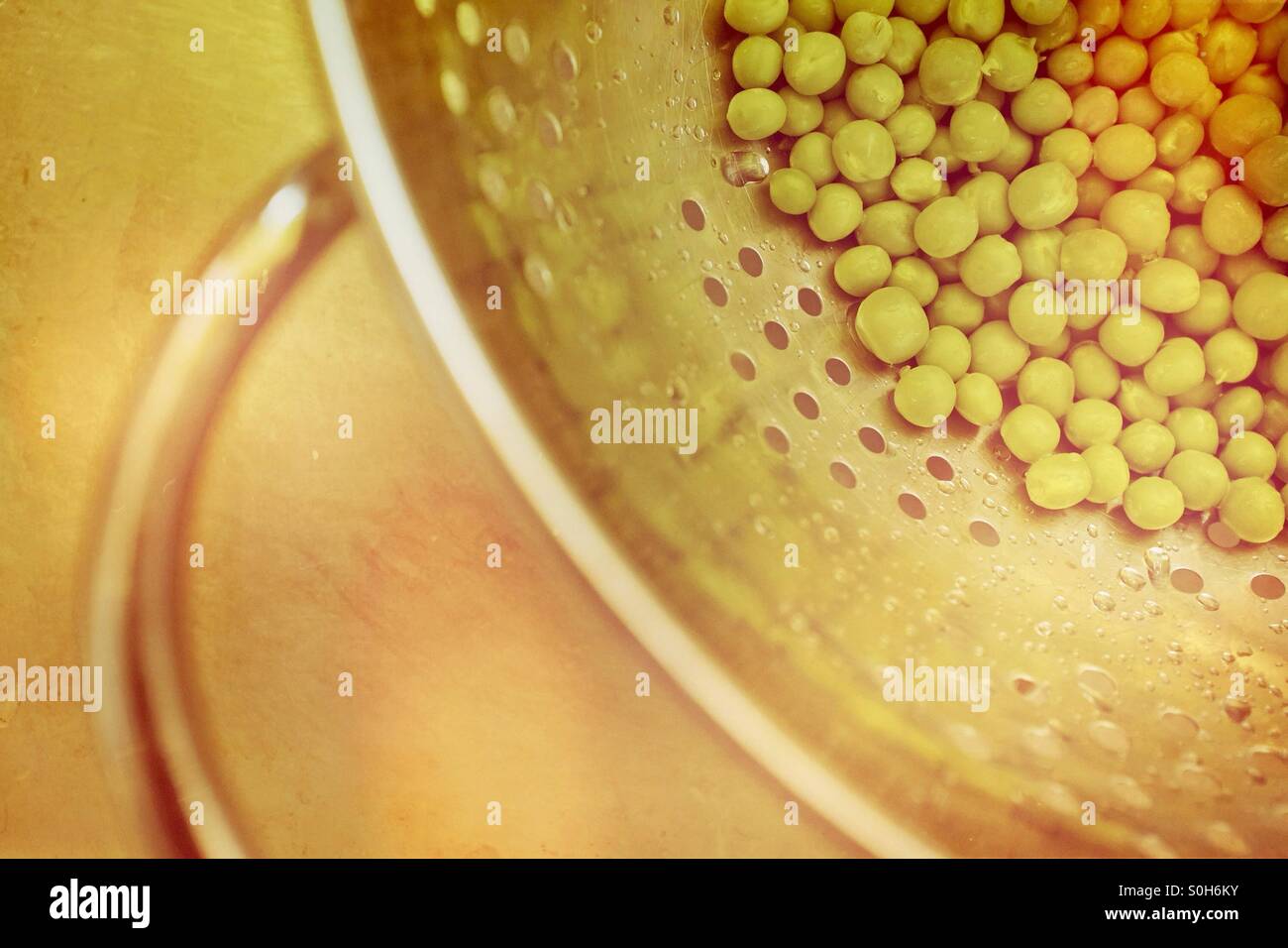 Fresh Summer garden peas collected in a colander and ready for eating - Smartphone Captured Stock Image