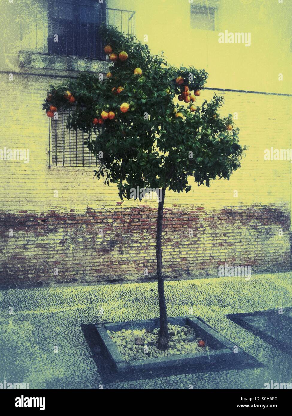 Oranges spain hires stock photography and images Alamy