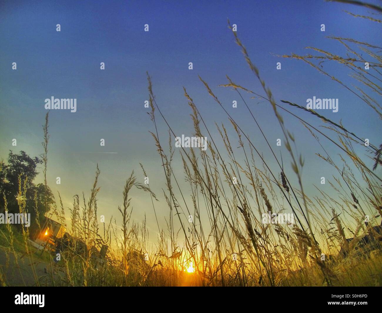 Golden sunset - Smartphone Captured Stock Image