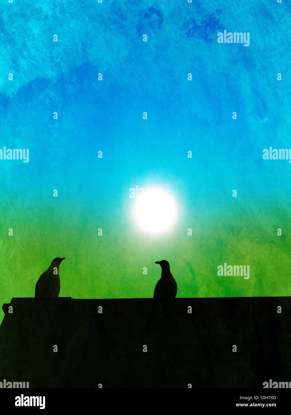 Seagulls on a roof - Smartphone Captured Stock Image