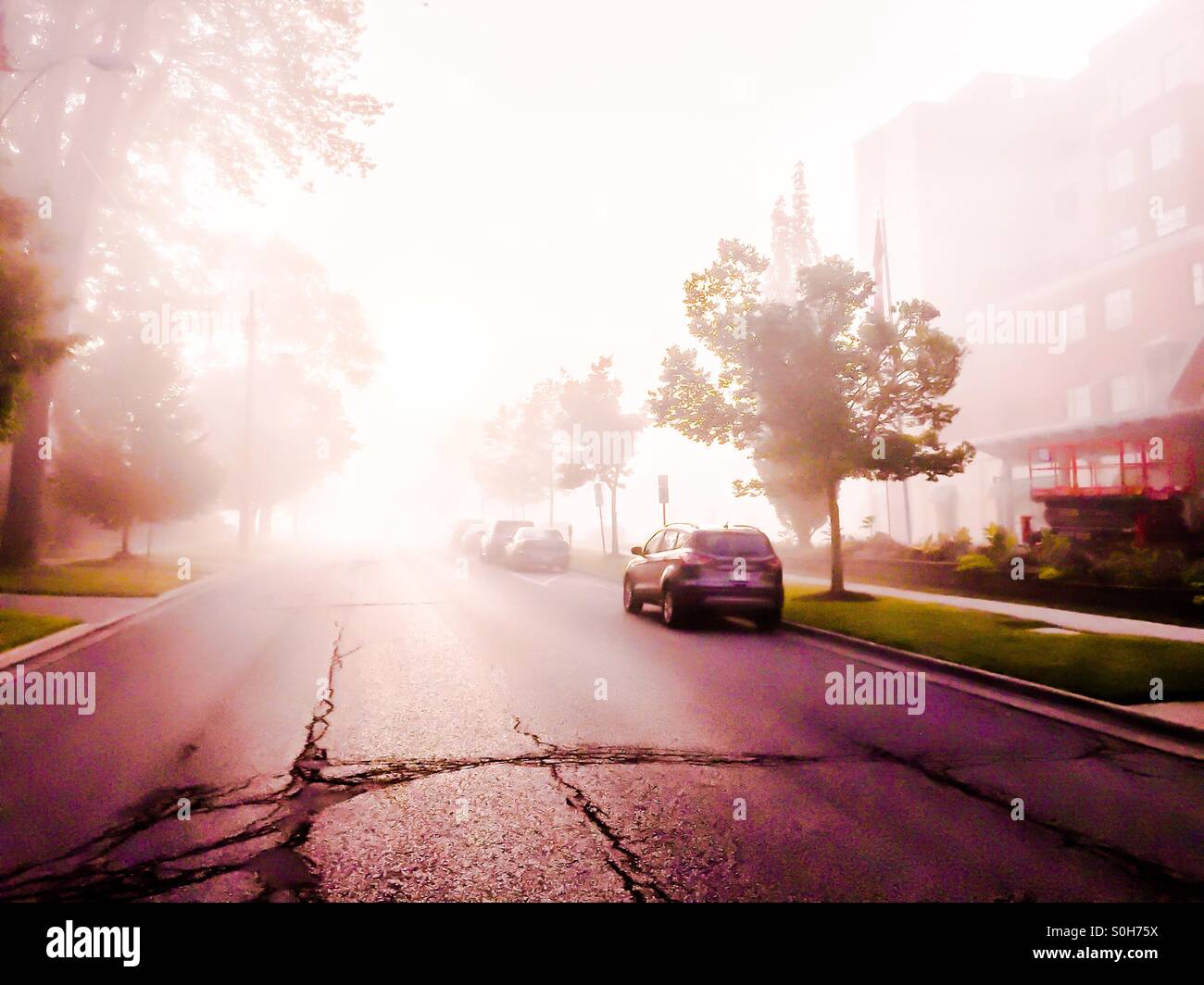 Foggy sunrise. First light shatters the mantle of overnight fog. Urban street. Ontario, Canada. Promise of a fine day. No people yet. - Smartphone Captured Stock Image