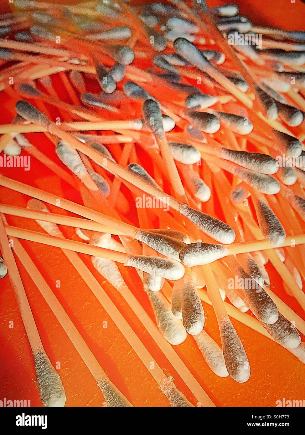 Cotton swabs - Smartphone Captured Stock Image