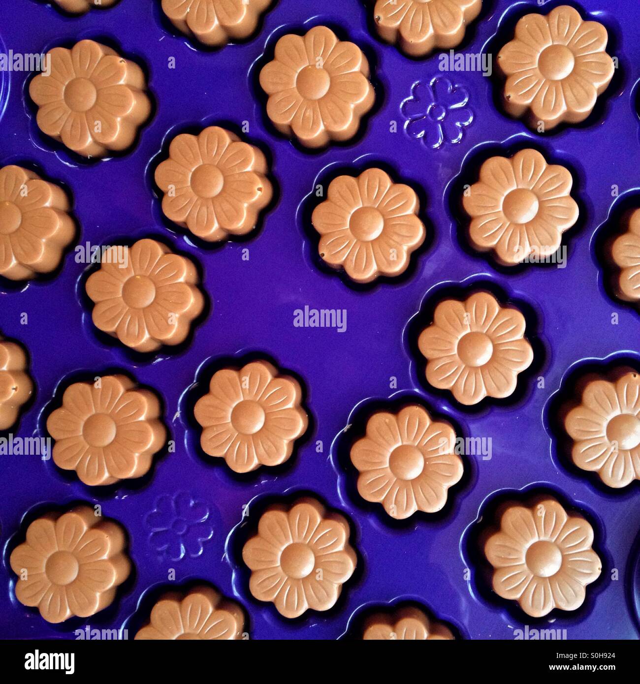 Flower shaped chocolates - Smartphone Captured Stock Image