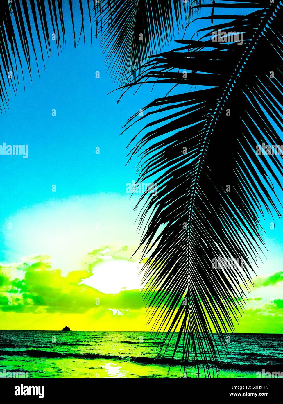 Winter In The Tropics Stock Photo Alamy Winter In The Tropics Stock Photo Alamy