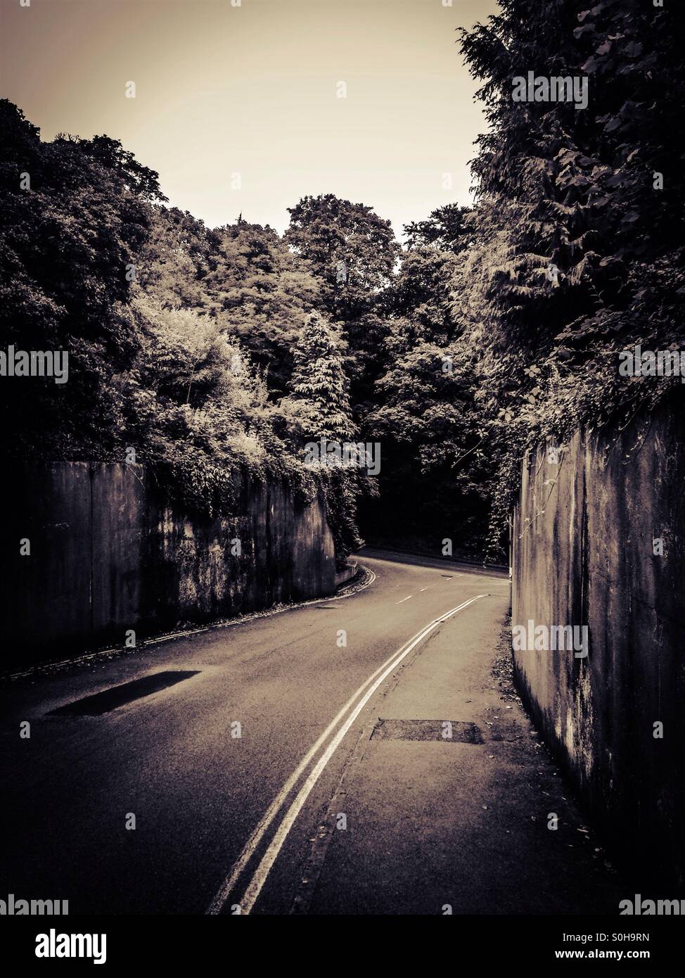 Double yellow line on street Stock Photo Alamy