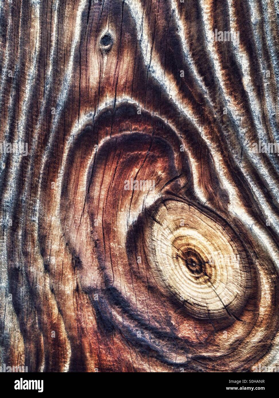 Wood - Smartphone Captured Stock Image