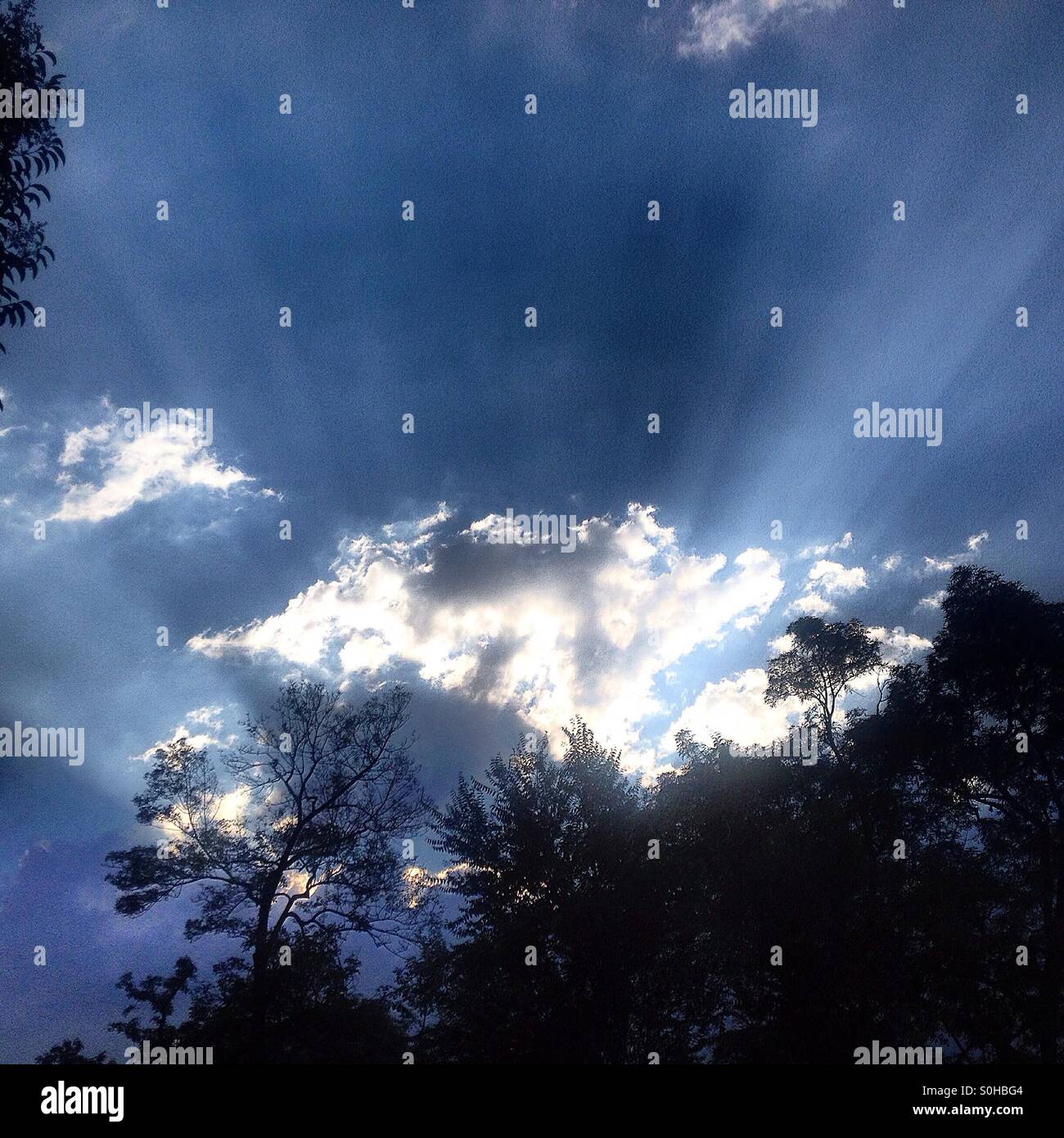 A crown made by the sun in Mexico City, Mexico - Smartphone Captured Stock Image