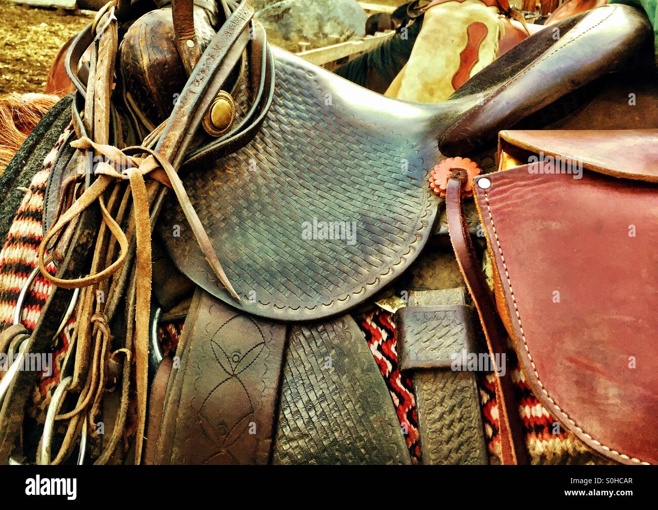 American Western horse saddle, bridle, tacking. - Smartphone Captured Stock Image