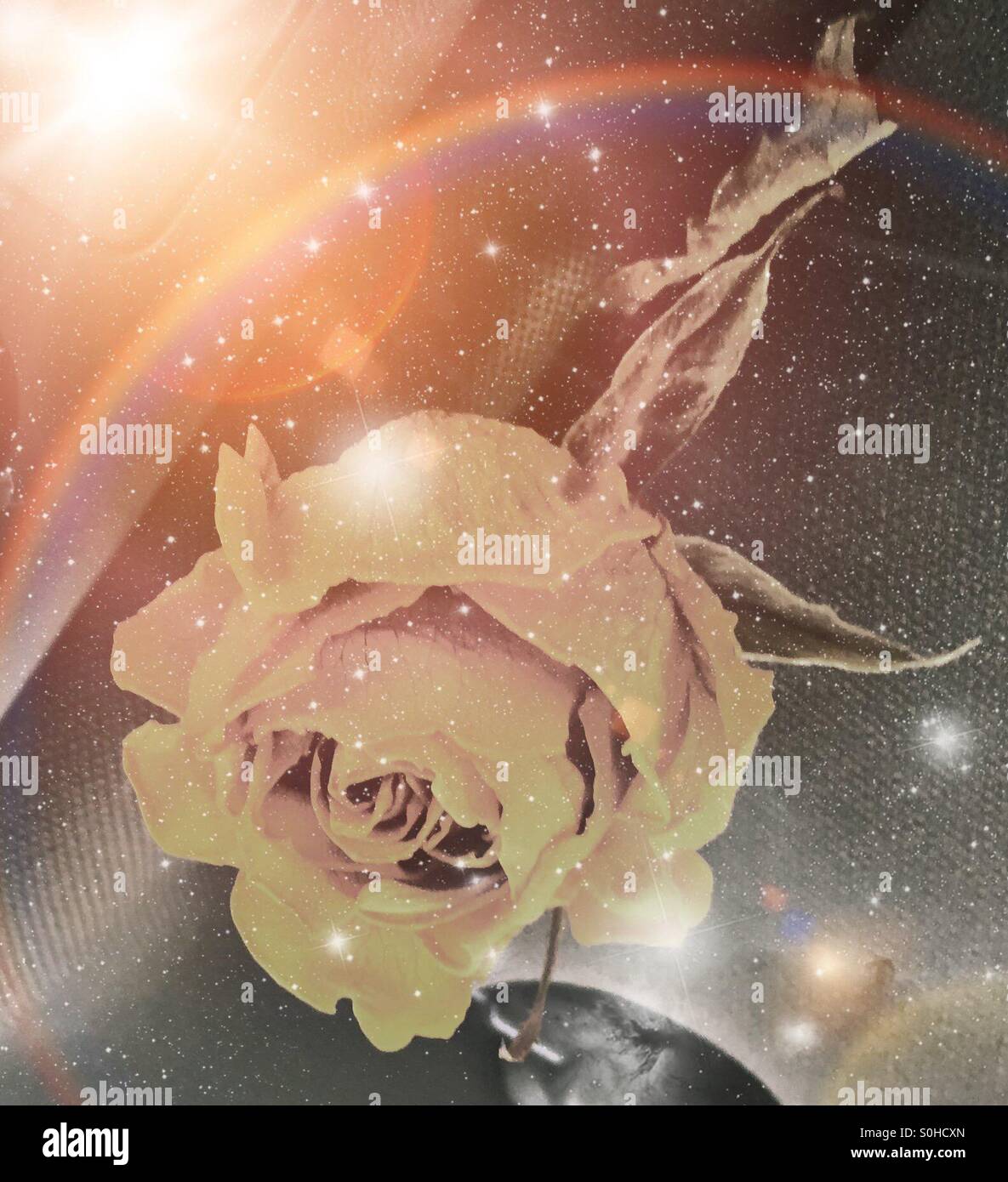 To My Beautiful Grandma May She Rest In Peace Stock Photo Alamy