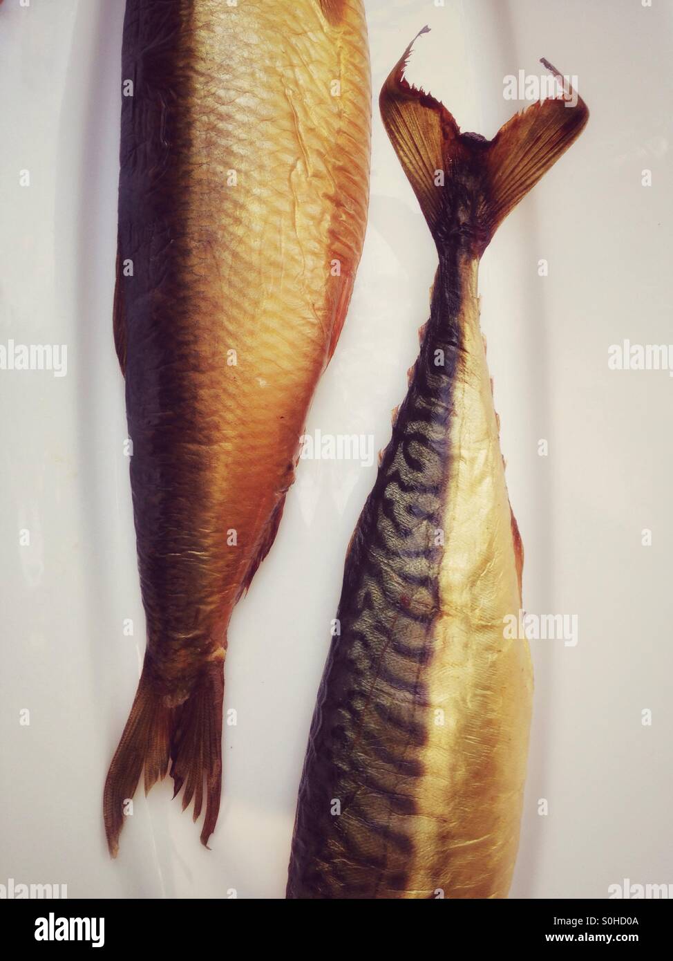 Two Smoked Fish Served on a platter - Smartphone Captured Stock Image