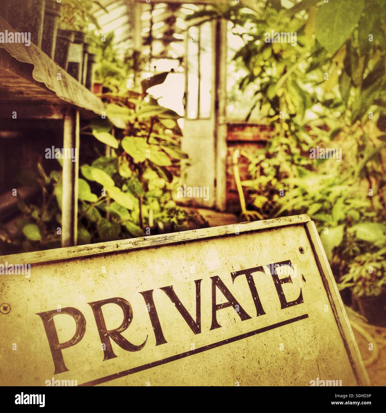 An old abandoned greenhouse with a private sign - Smartphone Captured Stock Image