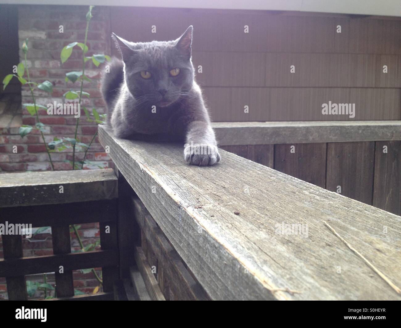 Brian Mcguire High Resolution Stock Photography and Images - Alamy