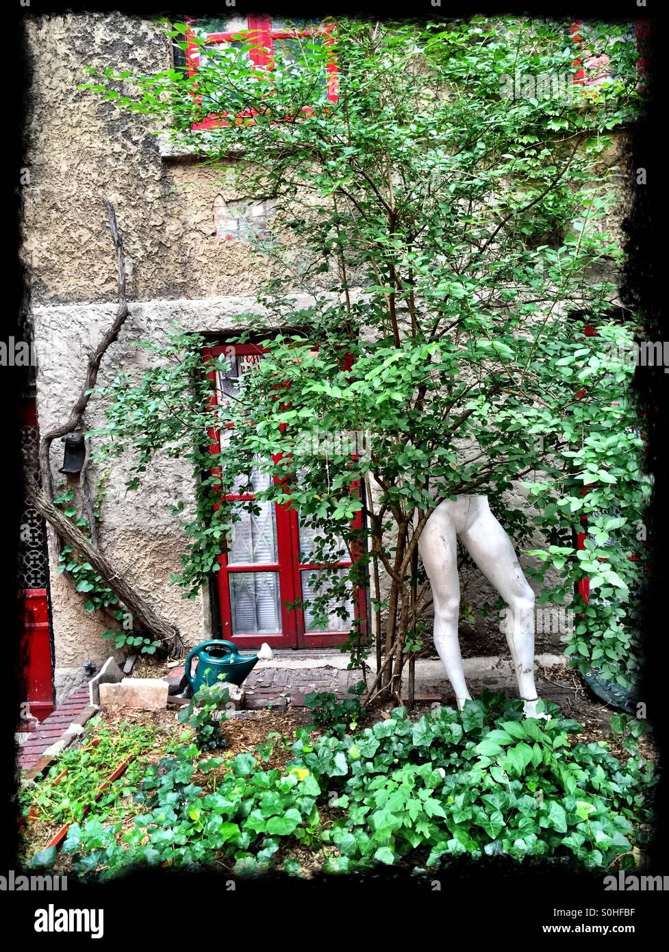 Tree with human mannequin legs in a garden in Greenwich Village looks surreal. Stock Photo