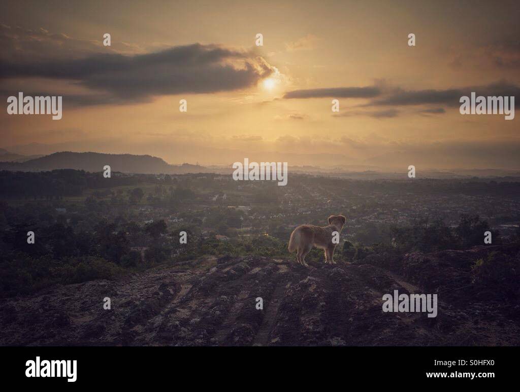 Dawn Of a new day Stock Photo - Alamy