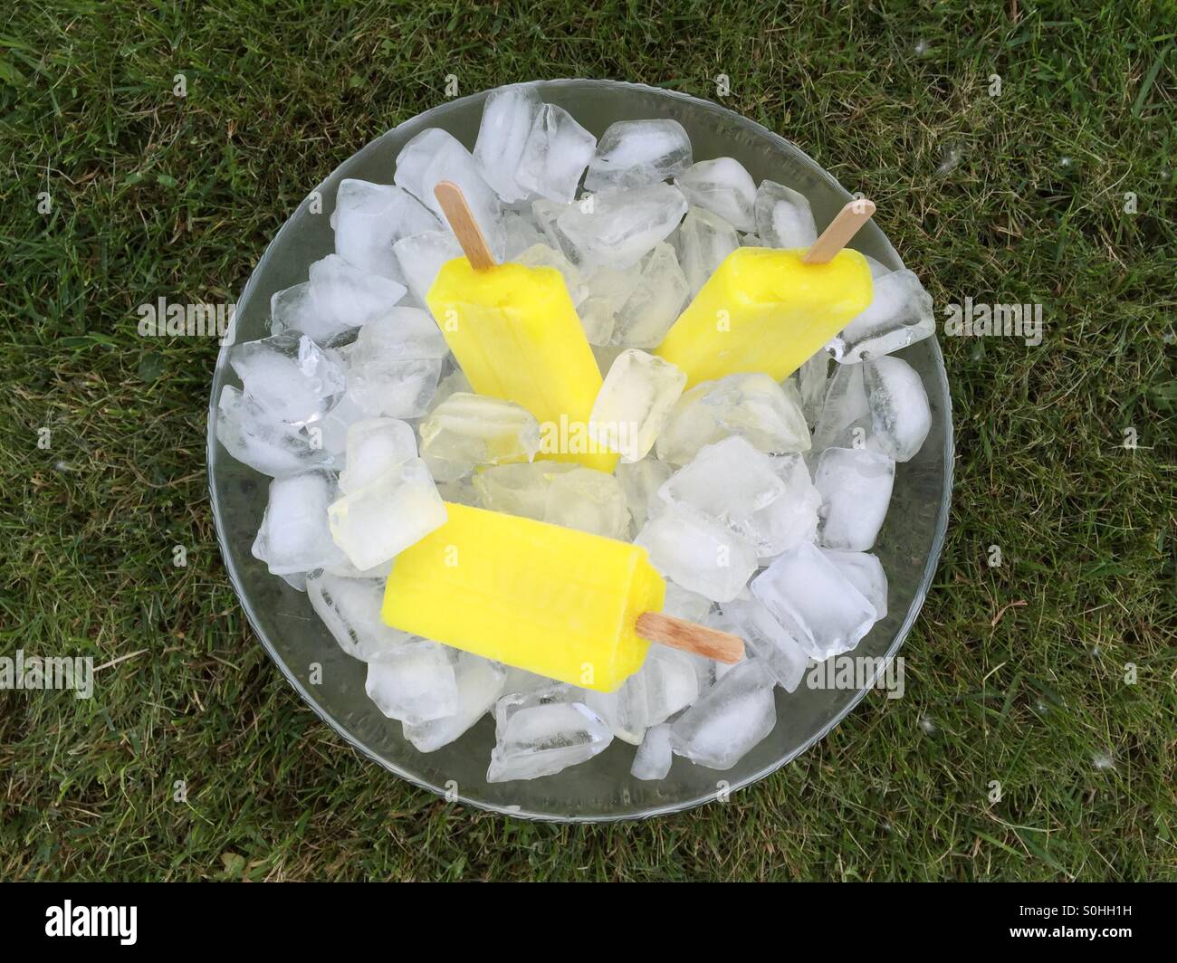 Frozen popsicles treats Stock Photo