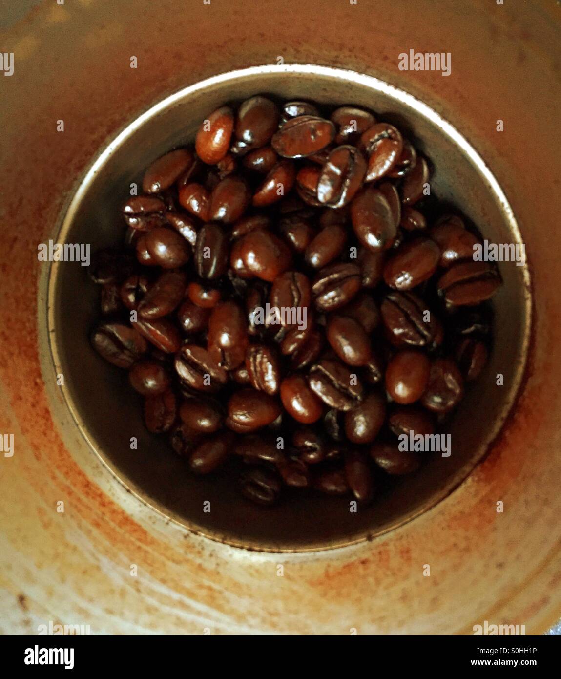 Looking down on coffee beans in a grinder Stock Photo