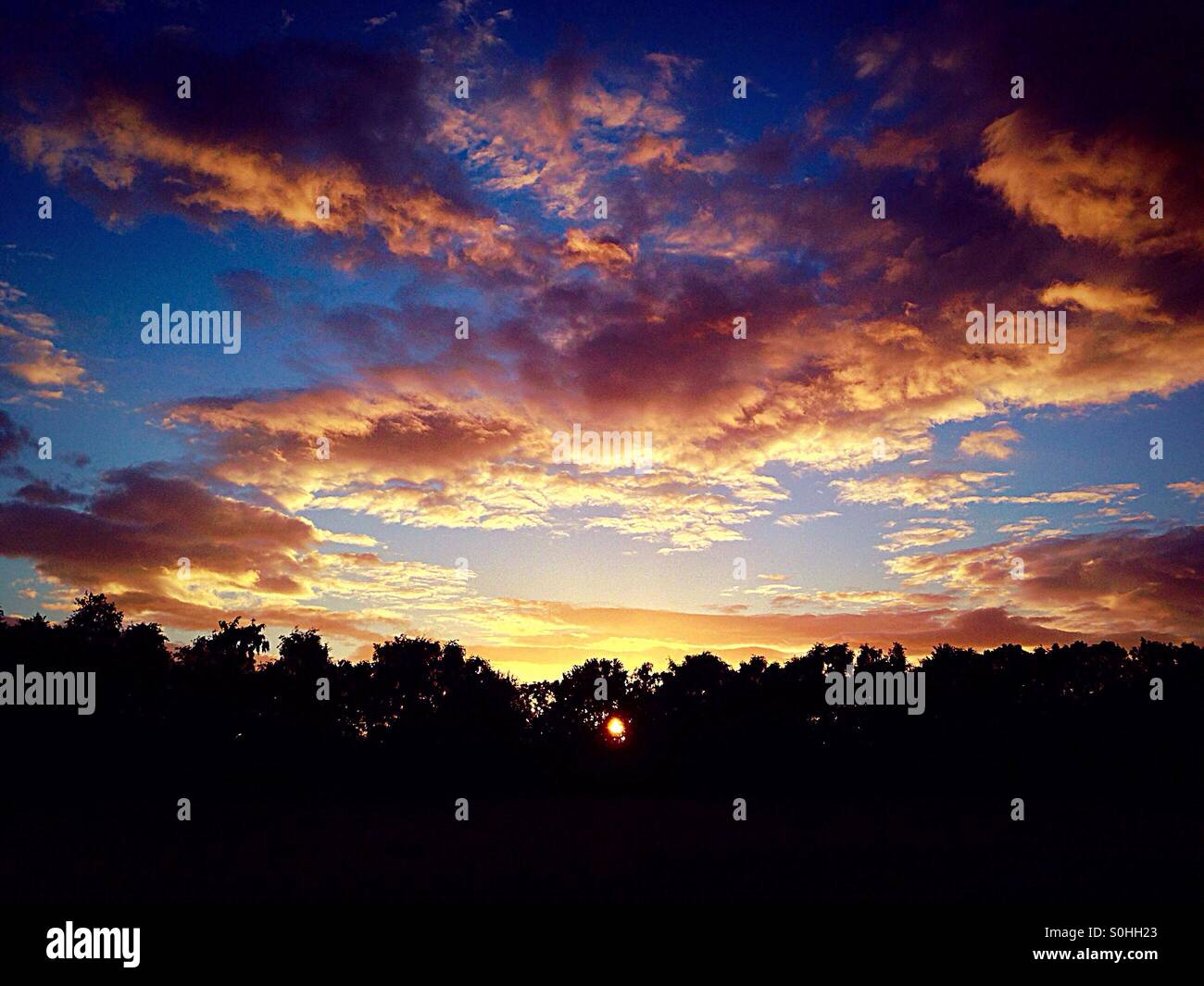 Late evening sunset over trees, casting warm colours onto cumulus clouds. - Smartphone Captured Stock Image