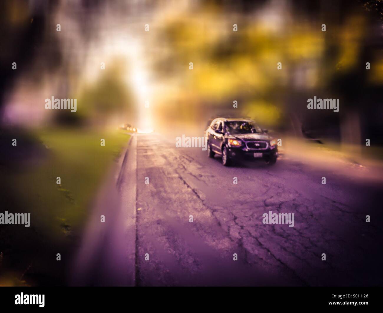 Misty - Smartphone Captured Stock Image