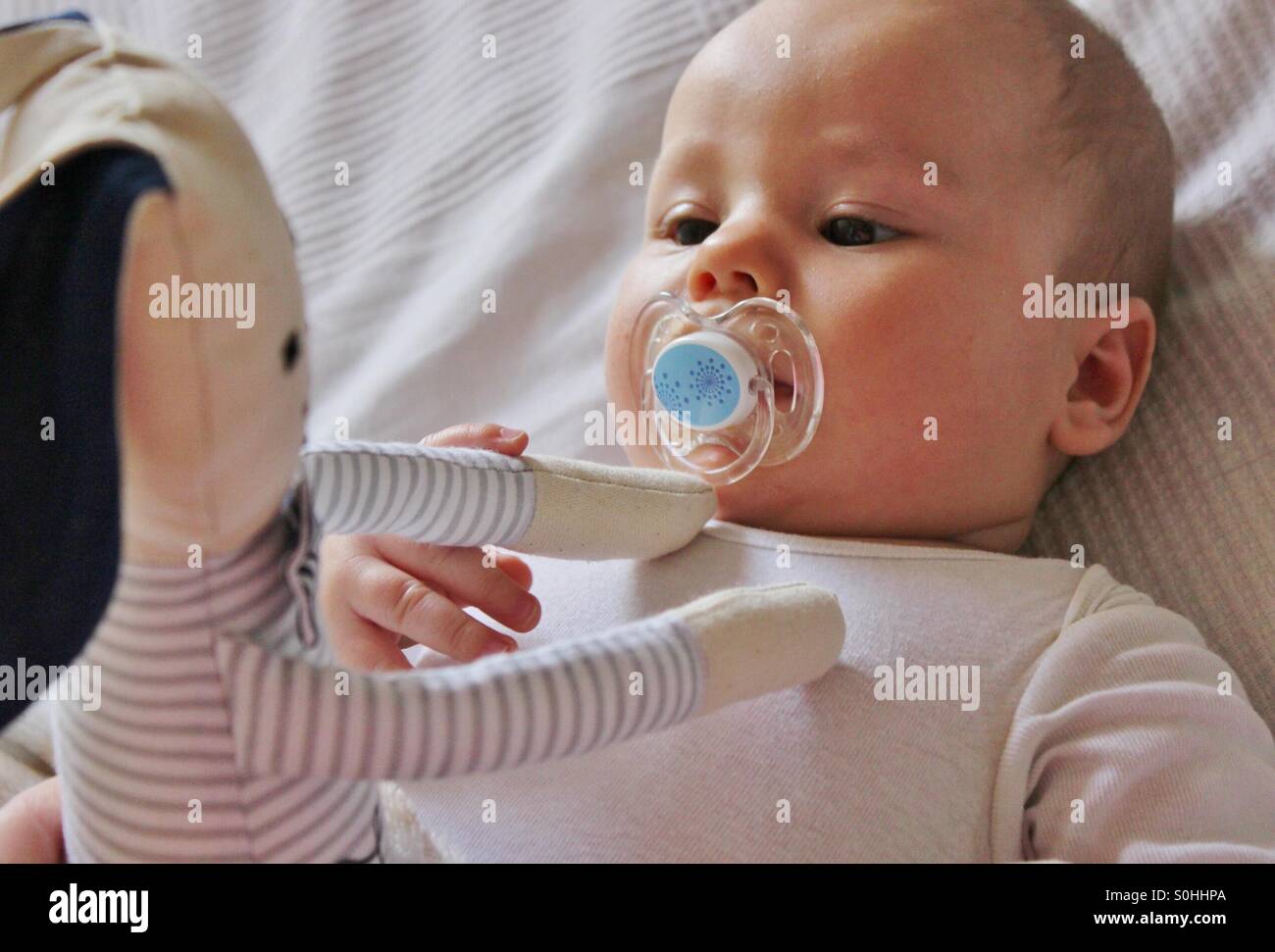 Baby boy is looking at his new bunny toy Stock Photo