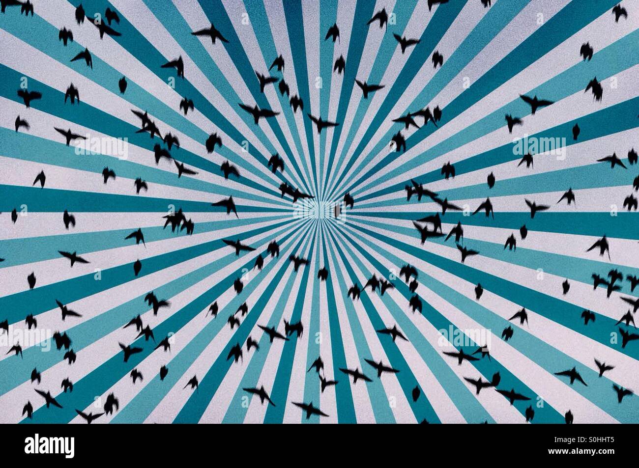 Flock of birds with graphic blue pattern - Smartphone Captured Stock Image