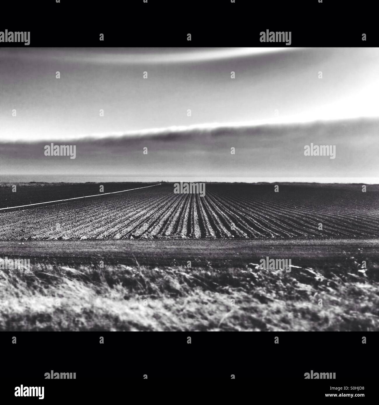 Fine art black and white, ploughed field, California - Smartphone Captured Stock Image