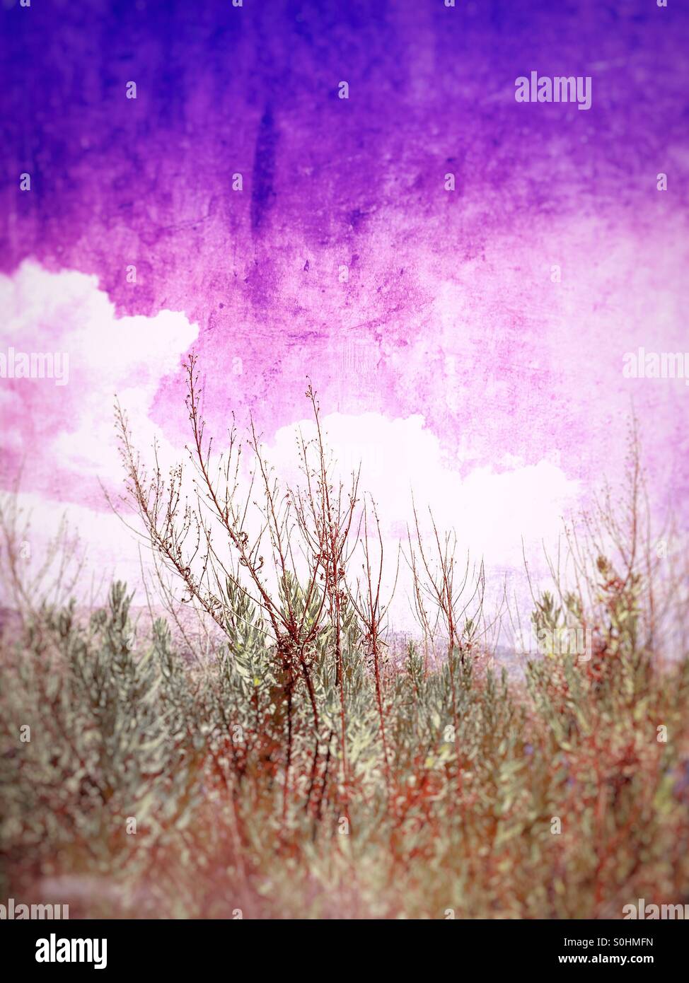 Toxic air - Smartphone Captured Stock Image