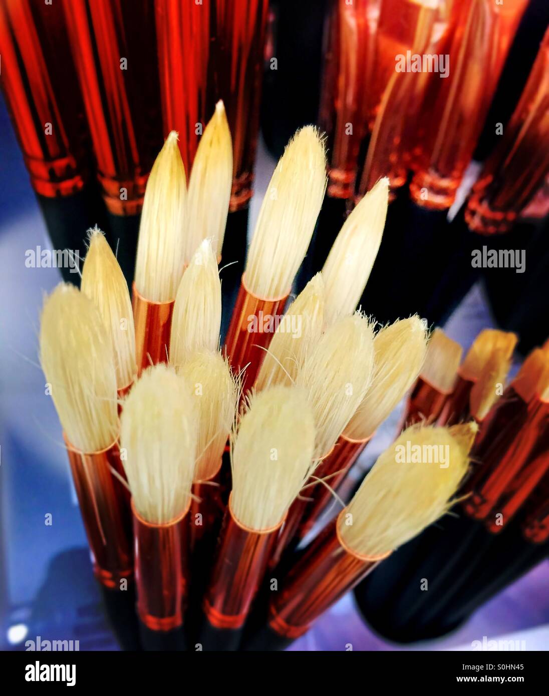 Display paintbrushes hi-res stock photography and images - Alamy