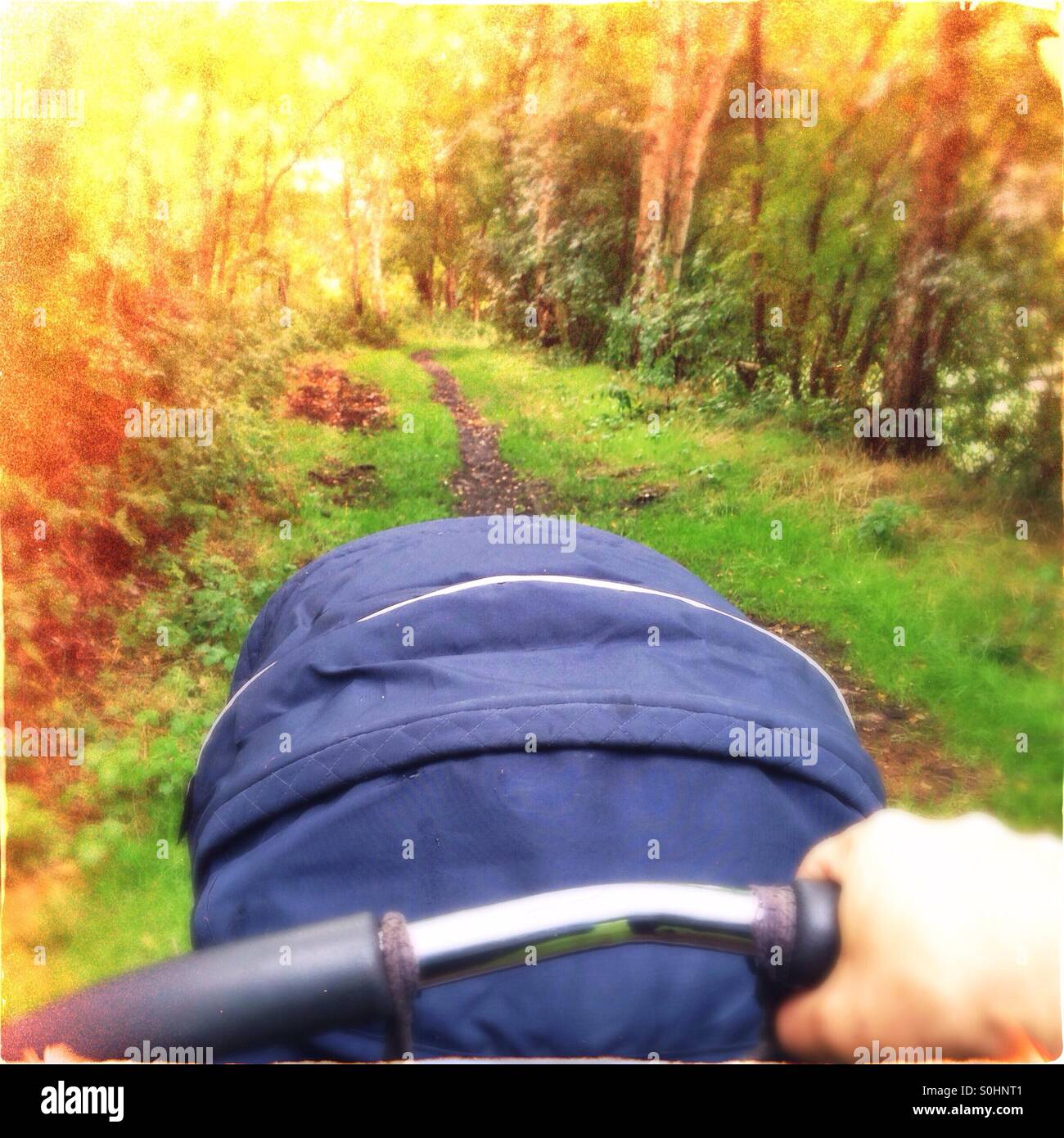 Man pushing a pram on a forest path with dense vegetation, bright light in the background - Smartphone Captured Stock Image