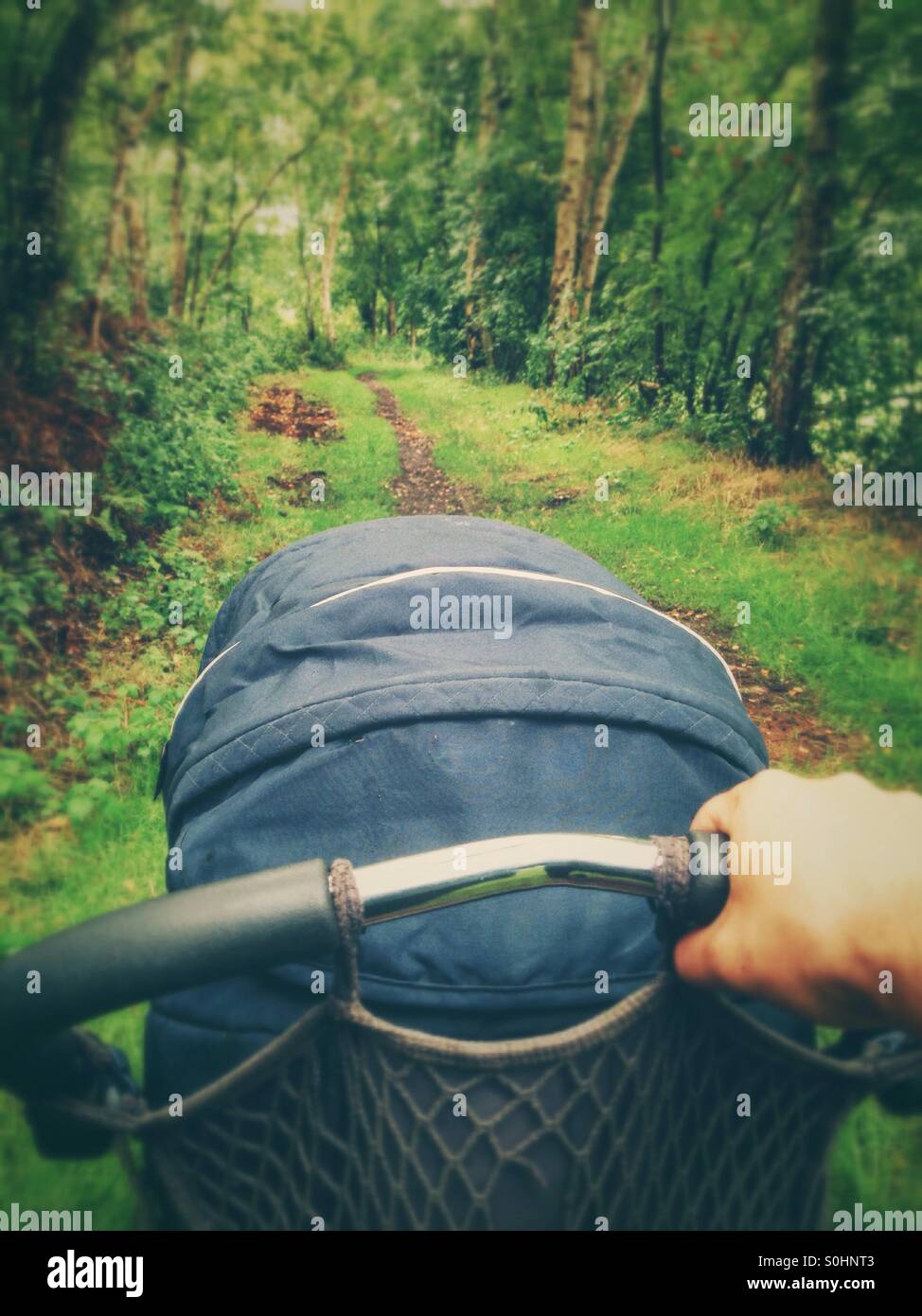 Man pushing a pram on a forest path with dense vegetation - Smartphone Captured Stock Image