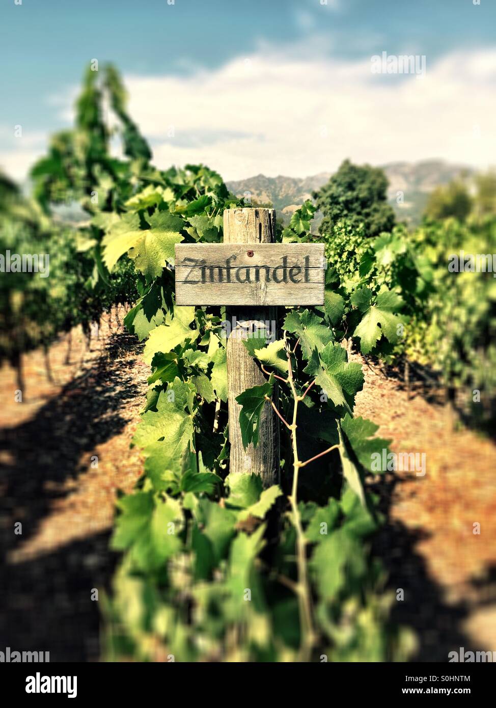 Napa valley hires stock photography and images Alamy