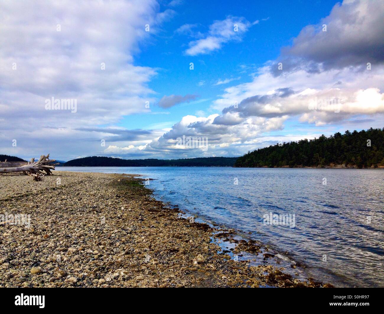 Rocky beach on Whidbey Island, Washington - Smartphone Captured Stock Image