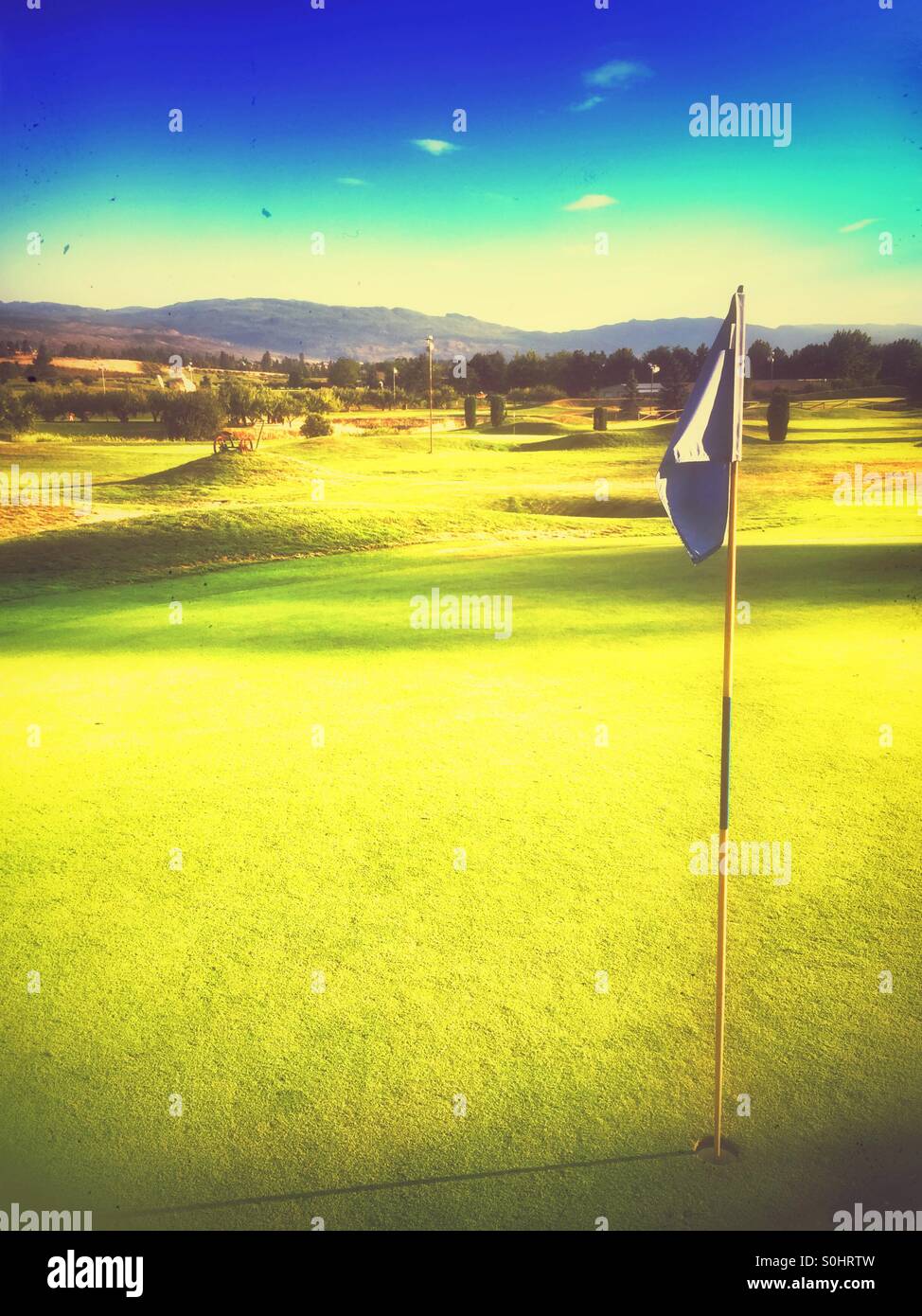 A pin at the golf course in the evening sun. - Smartphone Captured Stock Image
