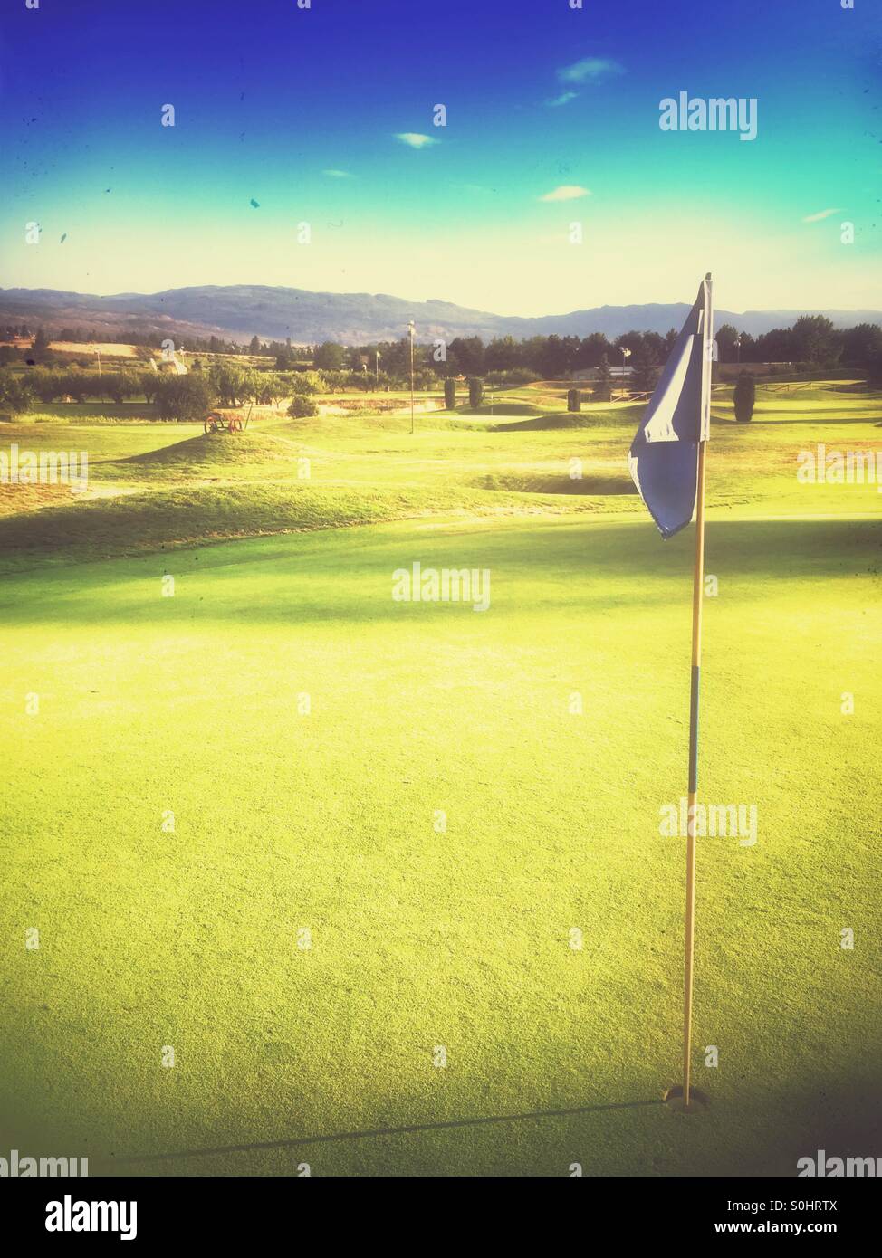 Golf course pin on a green. - Smartphone Captured Stock Image