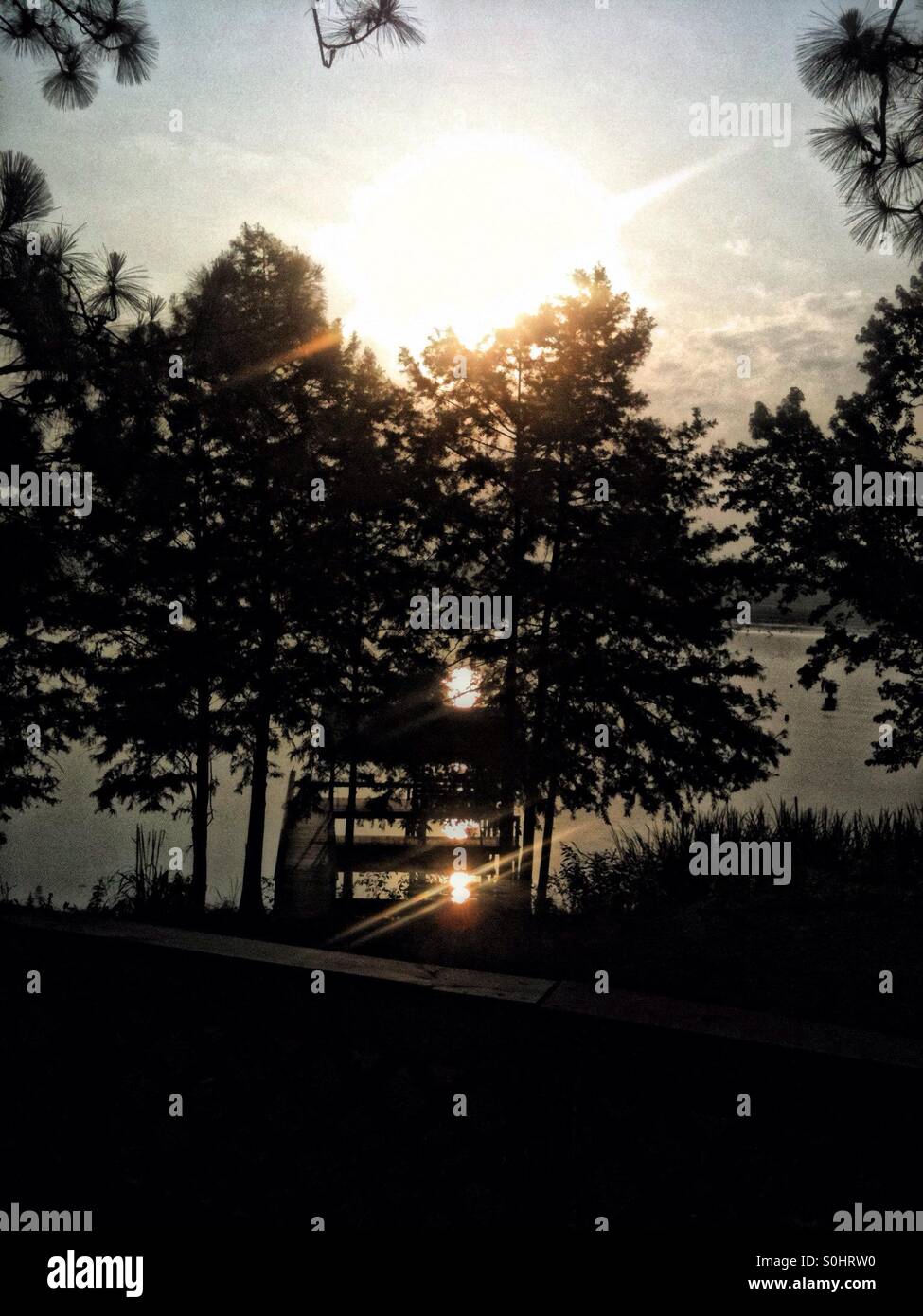 Lake Seminole, Donalsonville Beautiful sunrise reflects on the