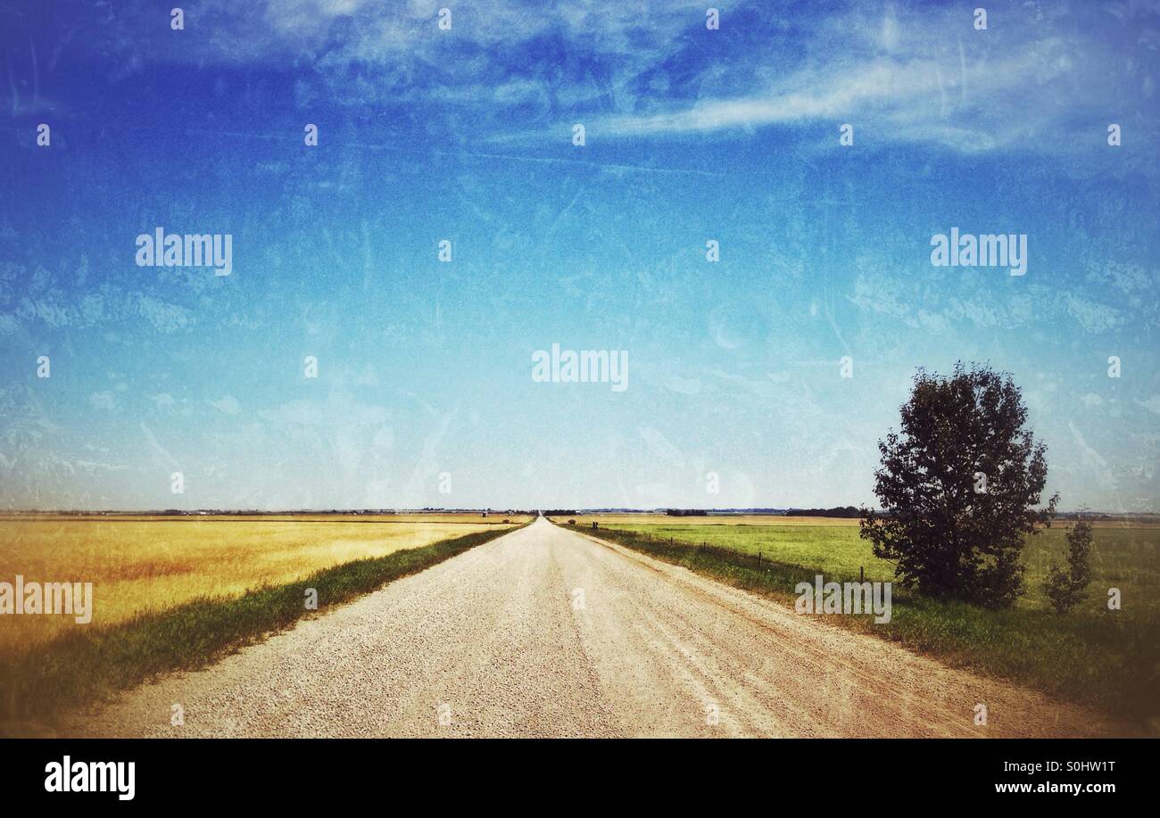 A country road in the Alberta prairies, seemingly going on forever, on a hot, sunny summer's day. - Smartphone Captured Stock Image
