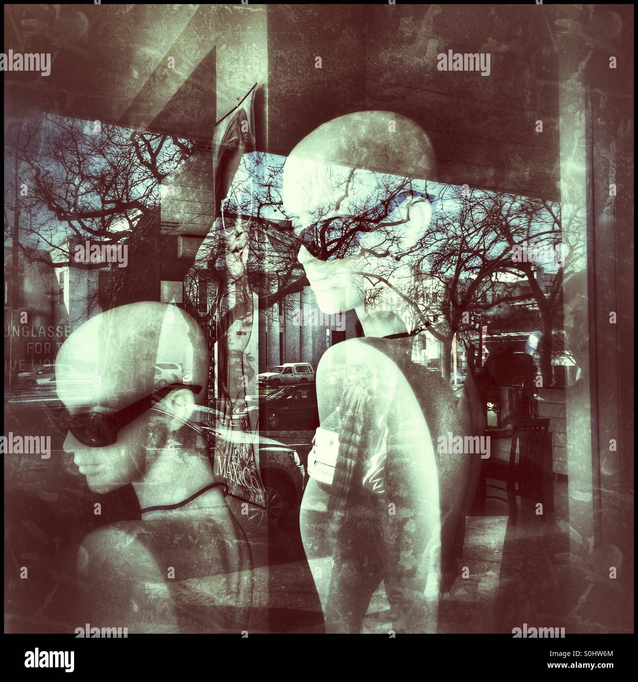 Mannequins in shop window with trees reflection on glass. - Smartphone Captured Stock Image